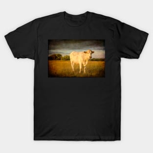 Bullock#12 T-Shirt